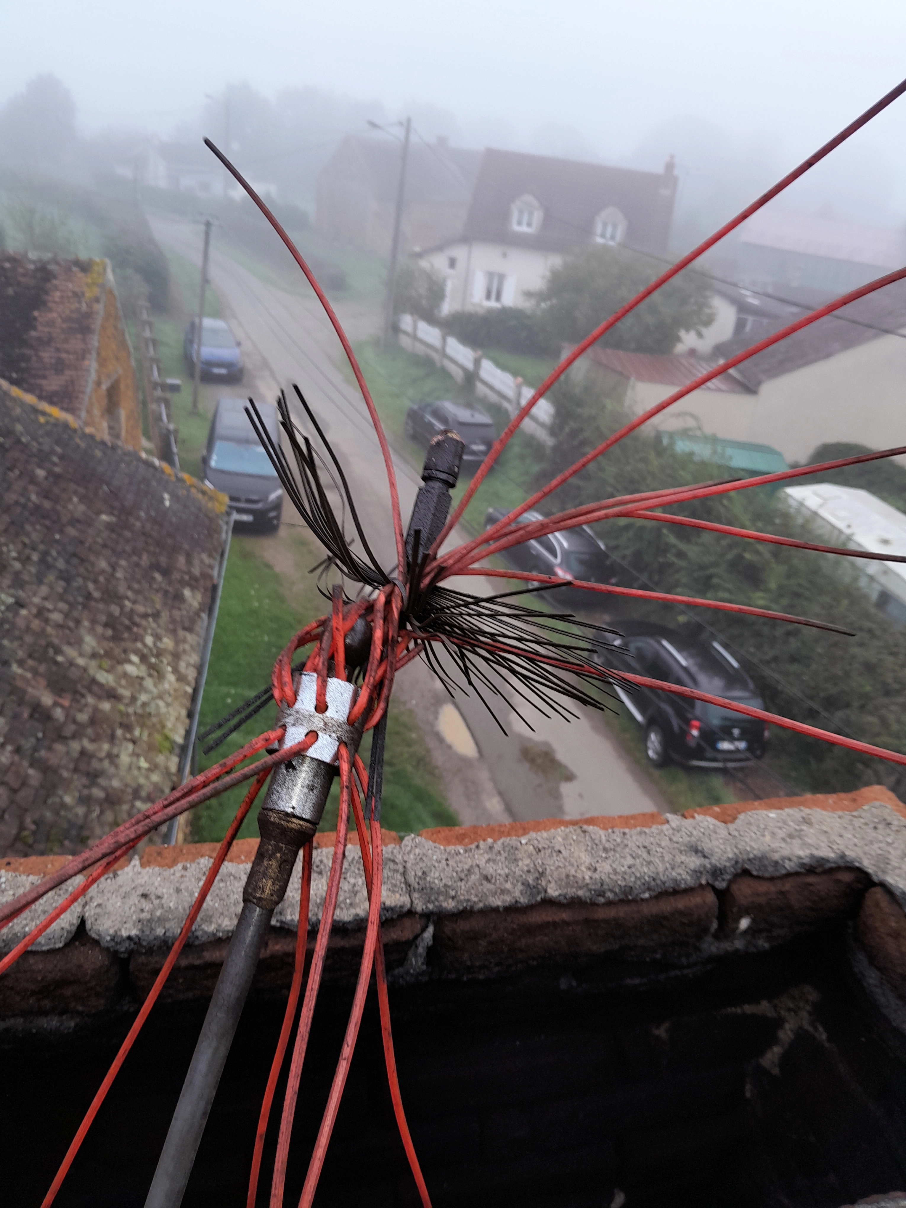Photo d'un hérisson de ramonage